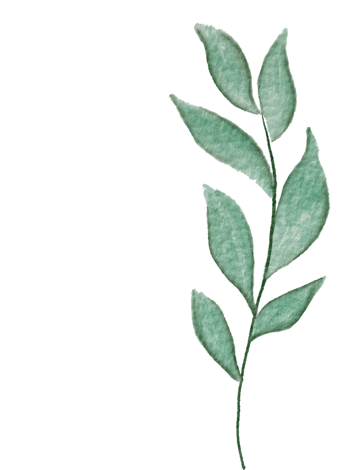 What a nice decorative leaf